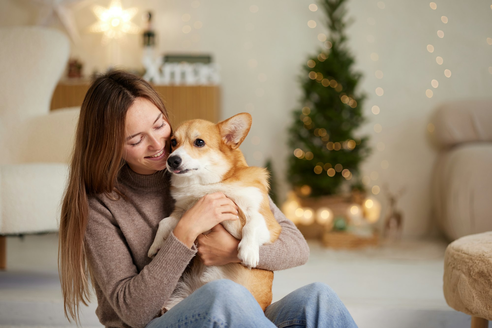 a brunette girl holds and hugs a red corgi dog on a clean light background